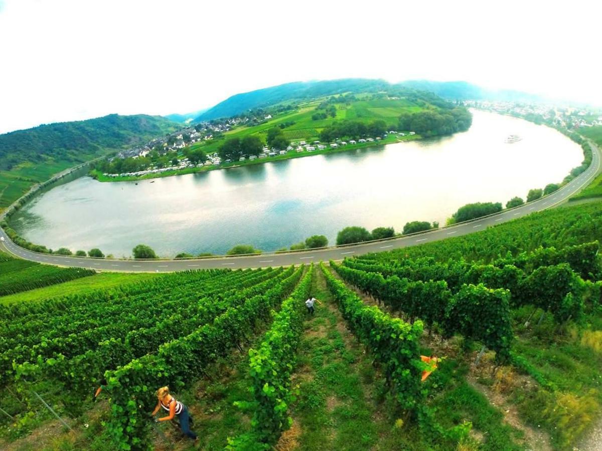 Der Weinladen Kröv Exterior foto